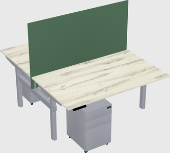 Shared electric desk