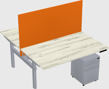Shared electric desk