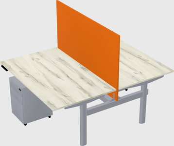 Shared electric desk