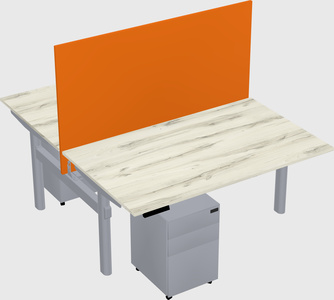 Shared electric desk