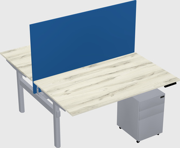 Shared electric desk