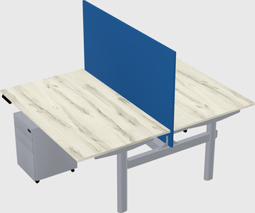 Shared electric desk