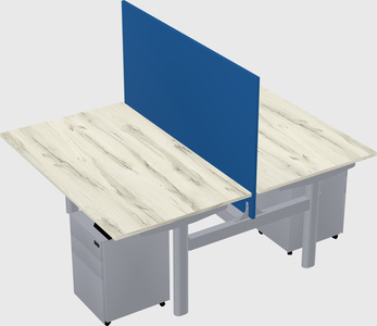 Shared electric desk