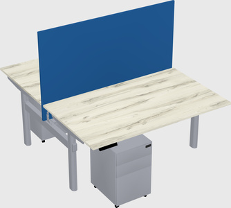 Shared electric desk