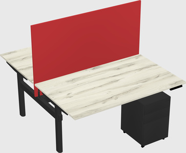 Shared electric desk