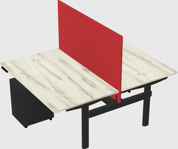 Shared electric desk