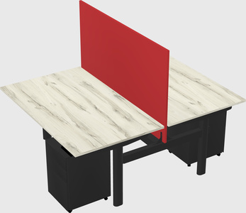 Shared electric desk