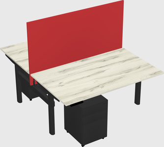 Shared electric desk