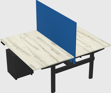 Shared electric desk