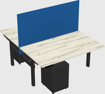 Shared electric desk