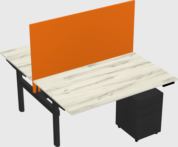 Shared electric desk