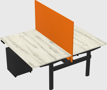 Shared electric desk