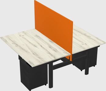 Shared electric desk