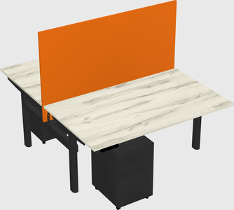 Shared electric desk