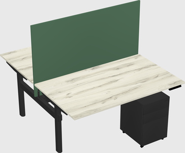 Shared electric desk