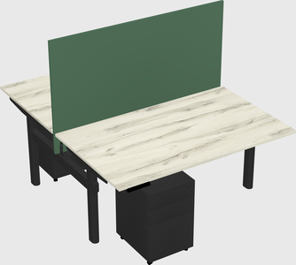 Shared electric desk
