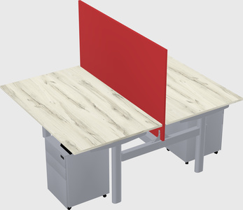 Shared electric desk