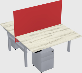 Shared electric desk