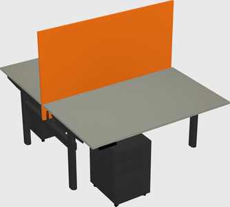 Shared electric desk