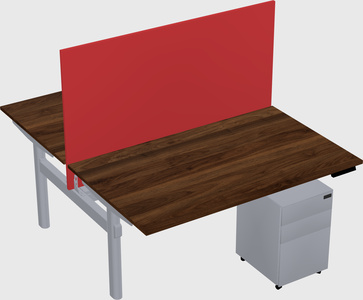 Shared electric desk