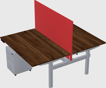 Shared electric desk