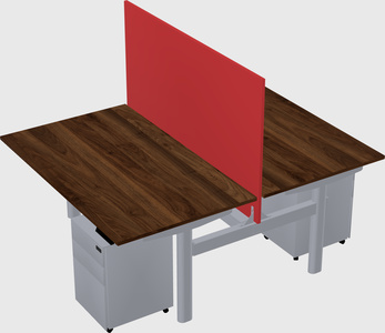 Shared electric desk
