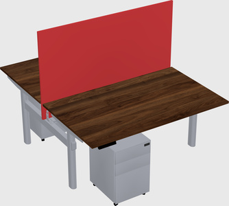 Shared electric desk