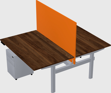Shared electric desk