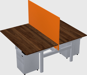 Shared electric desk