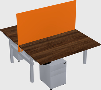 Shared electric desk