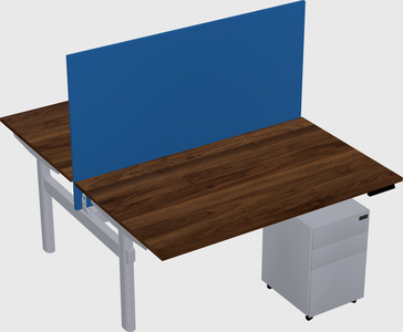 Shared electric desk