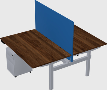 Shared electric desk