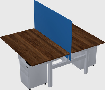 Shared electric desk