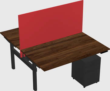 Shared electric desk
