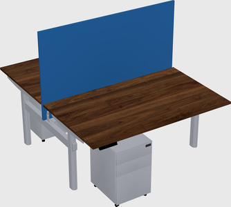 Shared electric desk