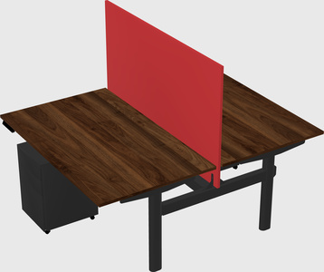 Shared electric desk