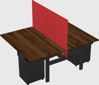 Shared electric desk