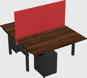 Shared electric desk