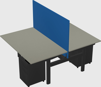 Shared electric desk