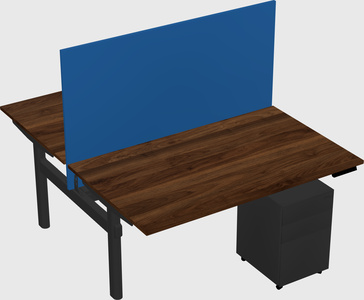 Shared electric desk
