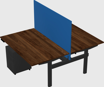 Shared electric desk