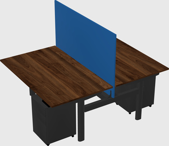 Shared electric desk