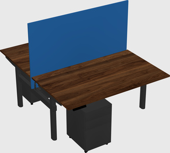 Shared electric desk