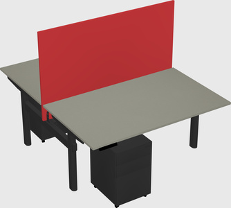 Shared electric desk