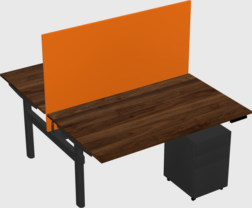 Shared electric desk
