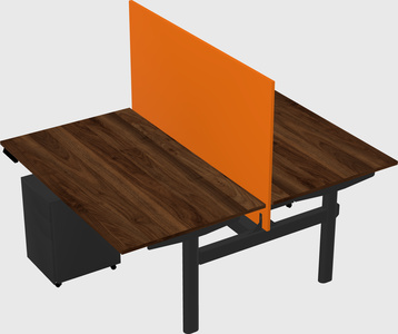 Shared electric desk