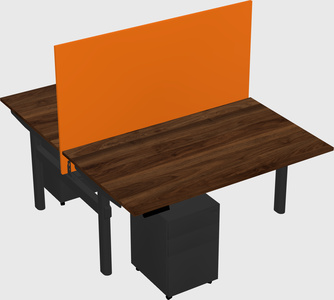 Shared electric desk