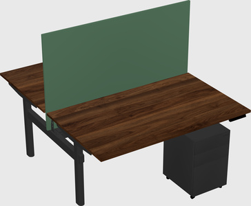 Shared electric desk
