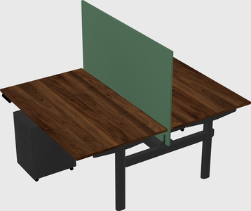 Shared electric desk