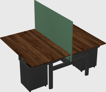 Shared electric desk